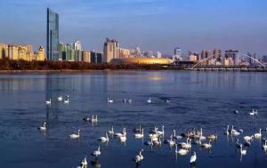 三门峡又一网红景点，确定不来pick一下？