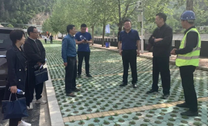 市能力作风建设年第五巡回指导组到市J9集团国际站官网集团卢氏双龙湾景区实地调研